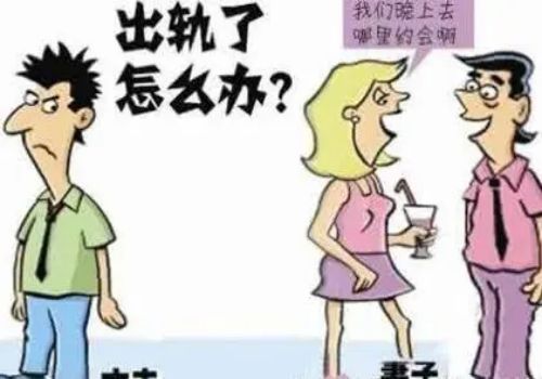 石家庄调查取证：判决书哪些内容可以作为证据使用